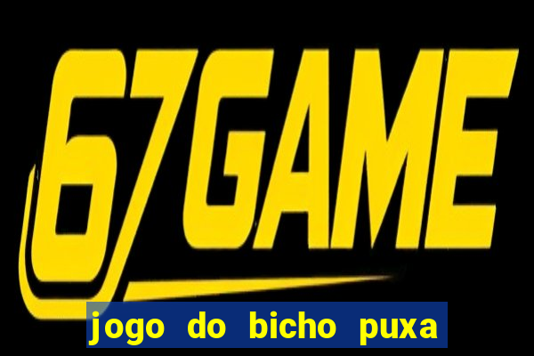 jogo do bicho puxa de dona maria