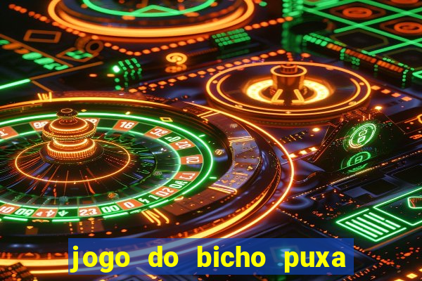 jogo do bicho puxa de dona maria