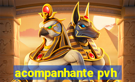 acompanhante pvh