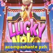 acompanhante pvh