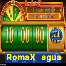 RomaX agua sanitaria fispq agua sanitaria romax