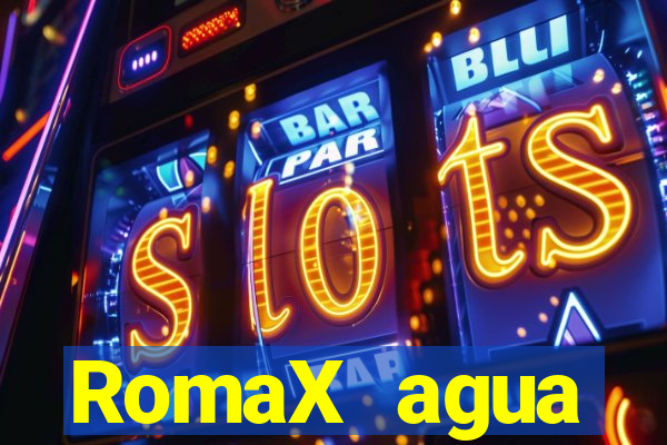 RomaX agua sanitaria fispq agua sanitaria romax