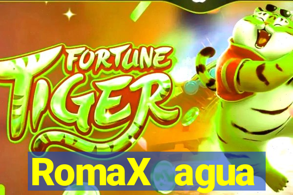 RomaX agua sanitaria fispq agua sanitaria romax