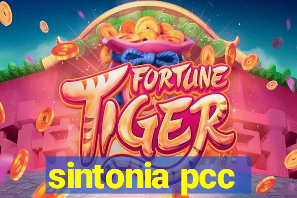 sintonia pcc