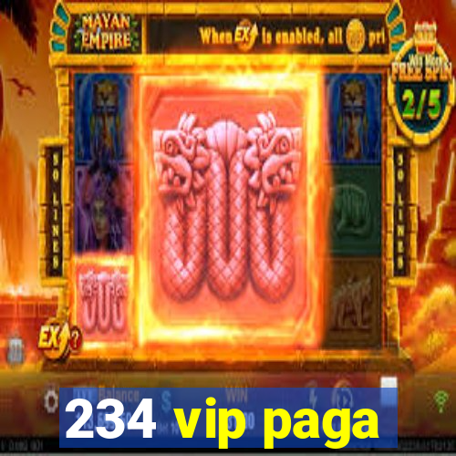 234 vip paga