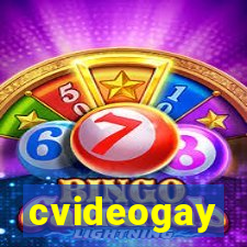 cvideogay