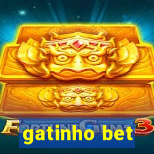 gatinho bet