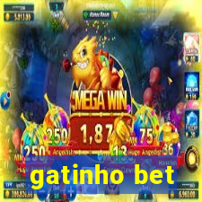 gatinho bet