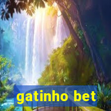 gatinho bet