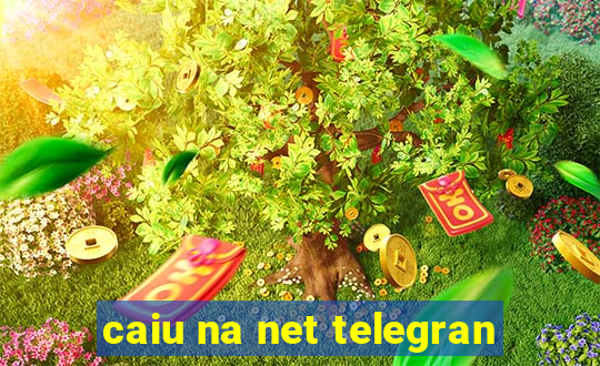 caiu na net telegran