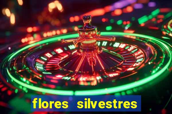 flores silvestres desbravadores desbravadores 25 flores silvestres e seus nomes