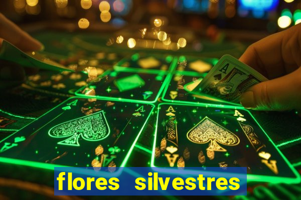 flores silvestres desbravadores desbravadores 25 flores silvestres e seus nomes