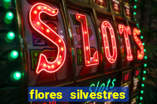 flores silvestres desbravadores desbravadores 25 flores silvestres e seus nomes