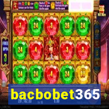 bacbobet365