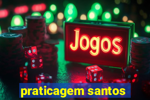 praticagem santos