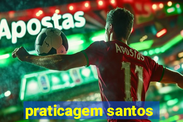 praticagem santos