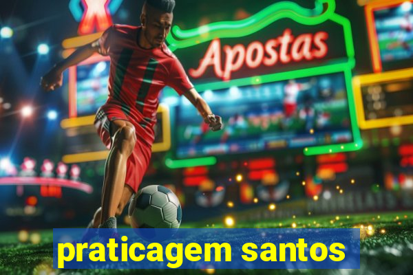 praticagem santos