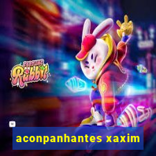 aconpanhantes xaxim