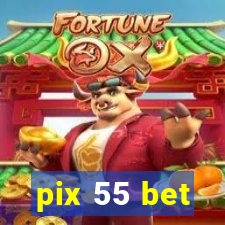 pix 55 bet