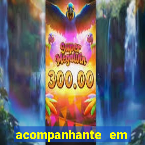 acompanhante em porto seguro