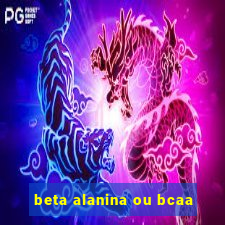 beta alanina ou bcaa