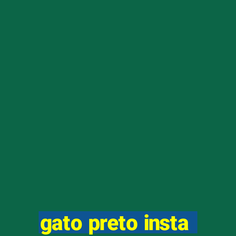 gato preto insta