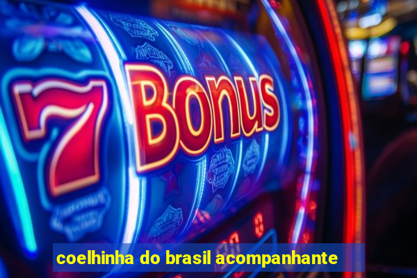 coelhinha do brasil acompanhante