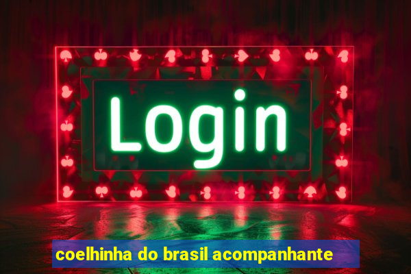 coelhinha do brasil acompanhante