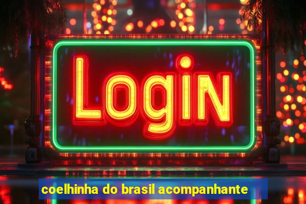 coelhinha do brasil acompanhante