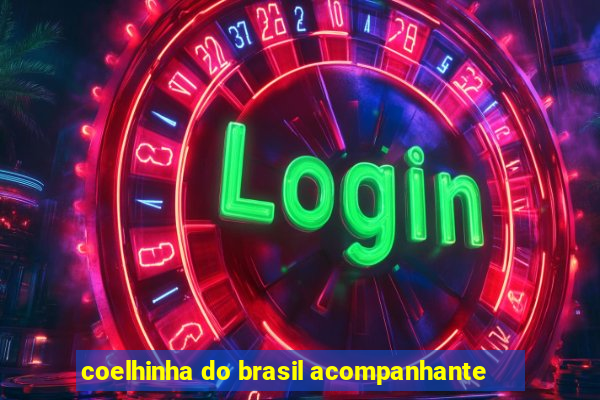 coelhinha do brasil acompanhante