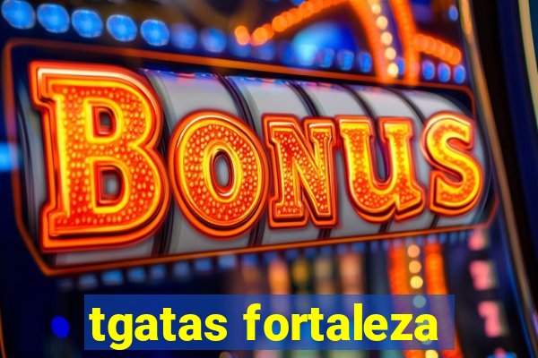 tgatas fortaleza