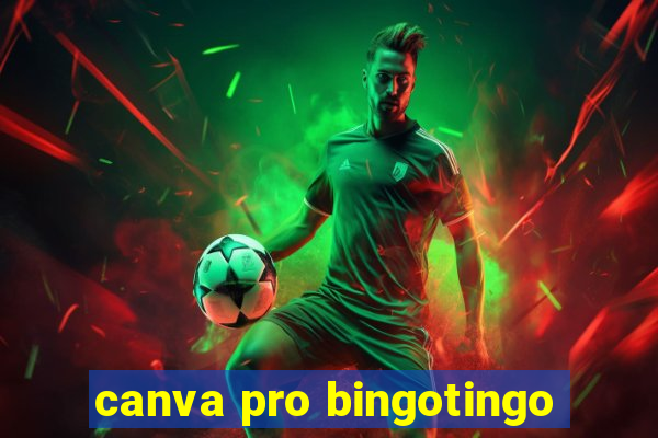 canva pro bingotingo