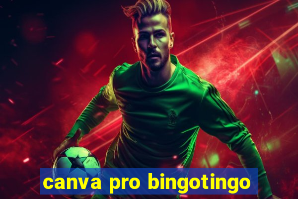 canva pro bingotingo