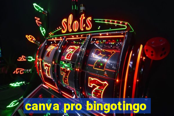 canva pro bingotingo