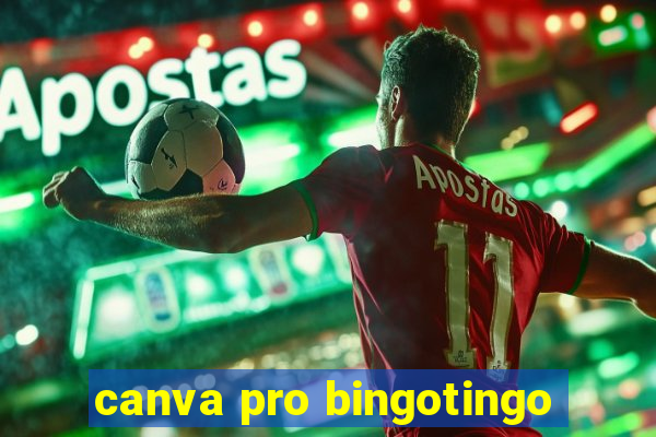 canva pro bingotingo