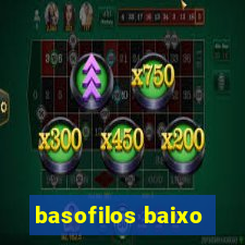 basofilos baixo