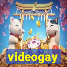 videogay