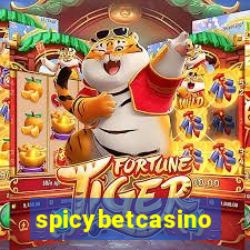 spicybetcasino