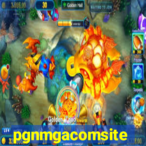 pgnmgacomsite