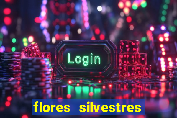 flores silvestres desbravadores desbravadores 25