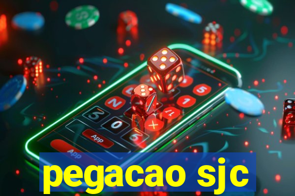 pegacao sjc