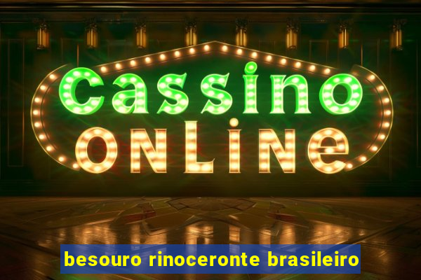 besouro rinoceronte brasileiro