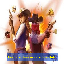 besouro rinoceronte brasileiro