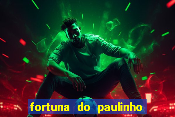 fortuna do paulinho do roupa nova