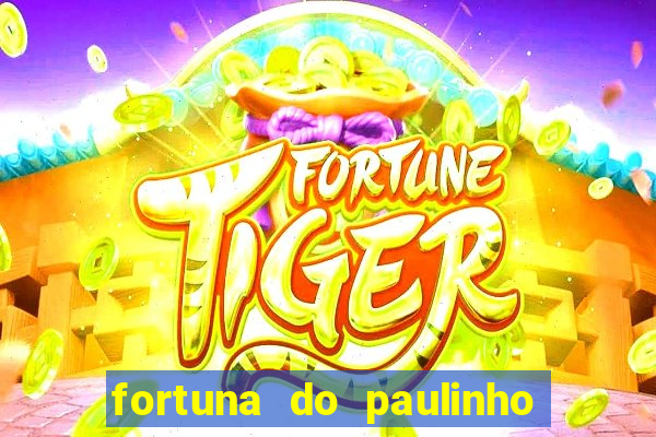 fortuna do paulinho do roupa nova