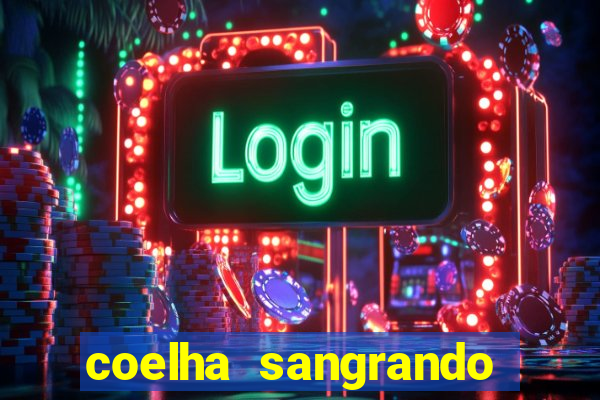 coelha sangrando pela parte intima