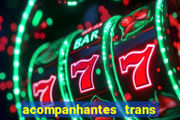 acompanhantes trans baixada fluminense