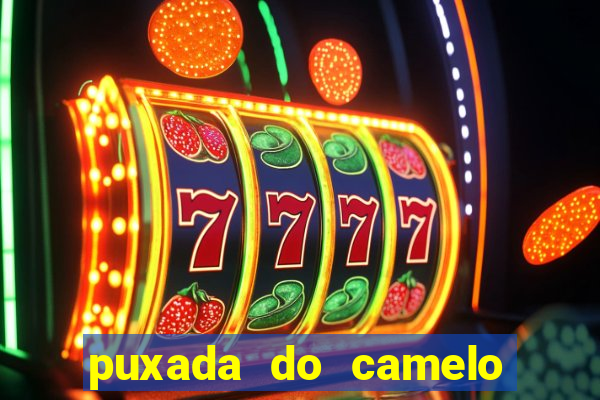 puxada do camelo no jogo do bicho