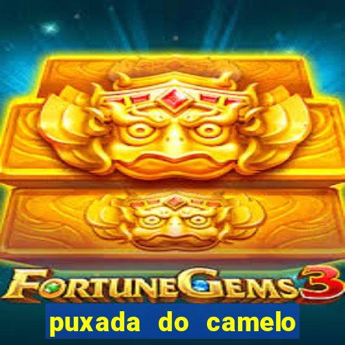 puxada do camelo no jogo do bicho