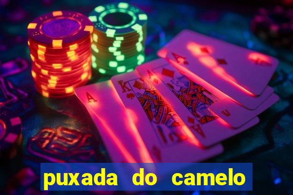 puxada do camelo no jogo do bicho